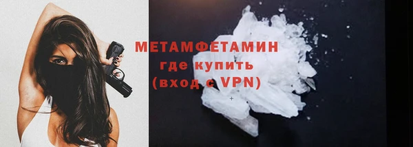 PSILOCYBIN Дмитриев