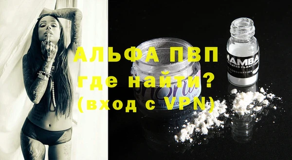 крисы Гусев