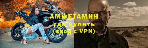 PSILOCYBIN Дмитриев