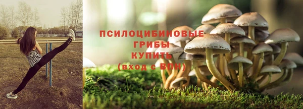 прущая мука Дмитров