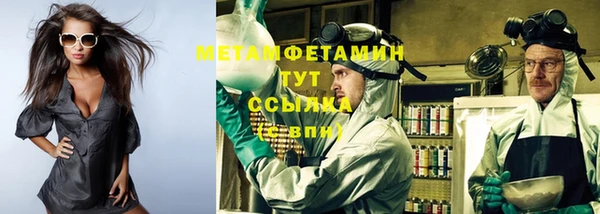 PSILOCYBIN Дмитриев
